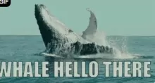 WHALE HELLO THERE